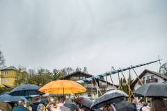 In Bernried am Starnbergersee wird am 1. Mai der Maibaum von Hand aufgestellt. Anschließend wird im Sommerkeller gefeiert da es draußen regnet.