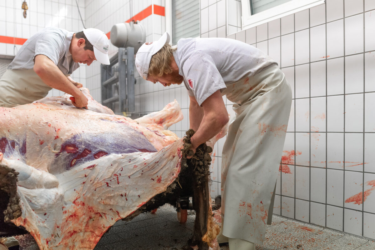 200129_Wagyu-Schlachtung-8540